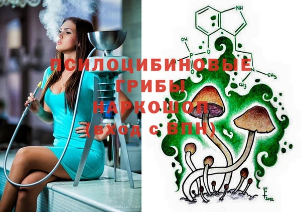 a pvp Алексеевка