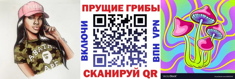 Псилоцибиновые грибы прущие грибы купить наркотик hydra как зайти Раменское